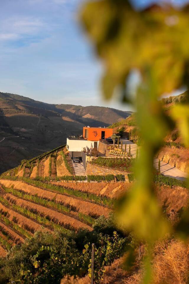 Quinta Vale De Lobos Bed & Breakfast Folgosa  Exterior foto